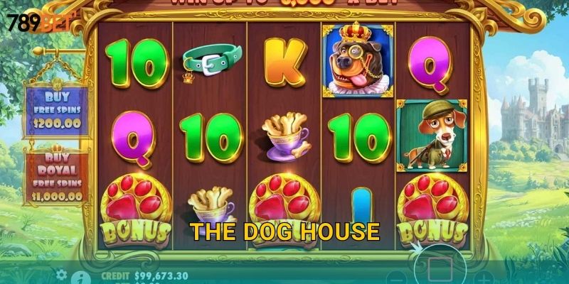 The Dog House 789bet sh – Nhà Của Những Chú Chó