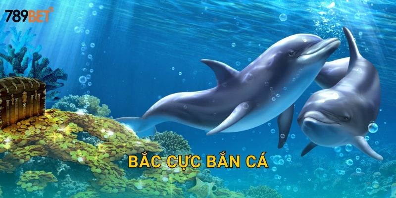Bắc Cực Bắn Cá 789bet sh – Phiêu Lưu Cực Bắc